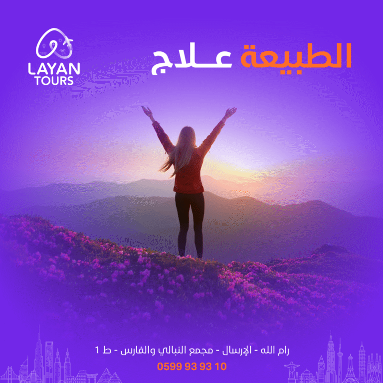 Layan Tours on Social Media