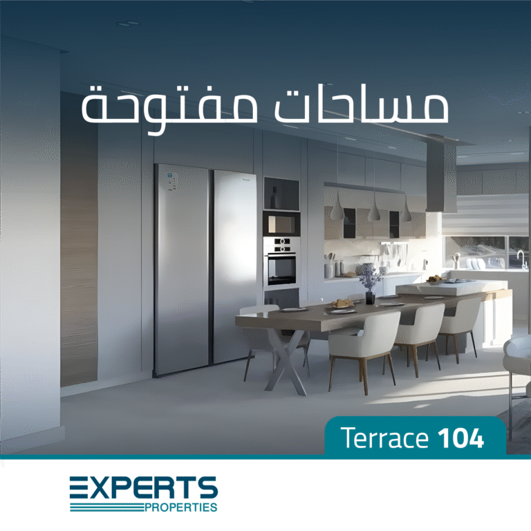 Experts Properties on Social Media
